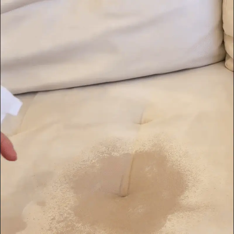 Comment Enlever l'Urine de Chat sur le Canapé et le Matelas : Solution Efficace Vaporisateur appliquant généreusement la solution nettoyante sur une tache de canapé - vue rapprochée du spray en action