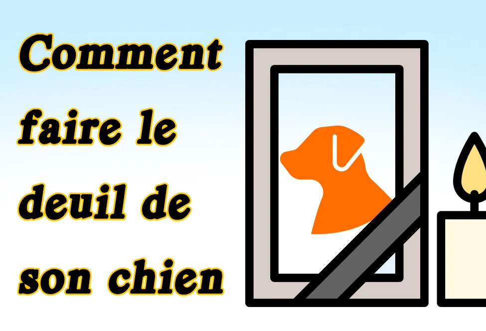 Comment faire le deuil de son chien : étapes et conseils pour traverser cette épreuve comment faire le deuil de son chien
