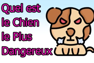 Noms de Chien Commençant par A : Guide Complet deangereux chien