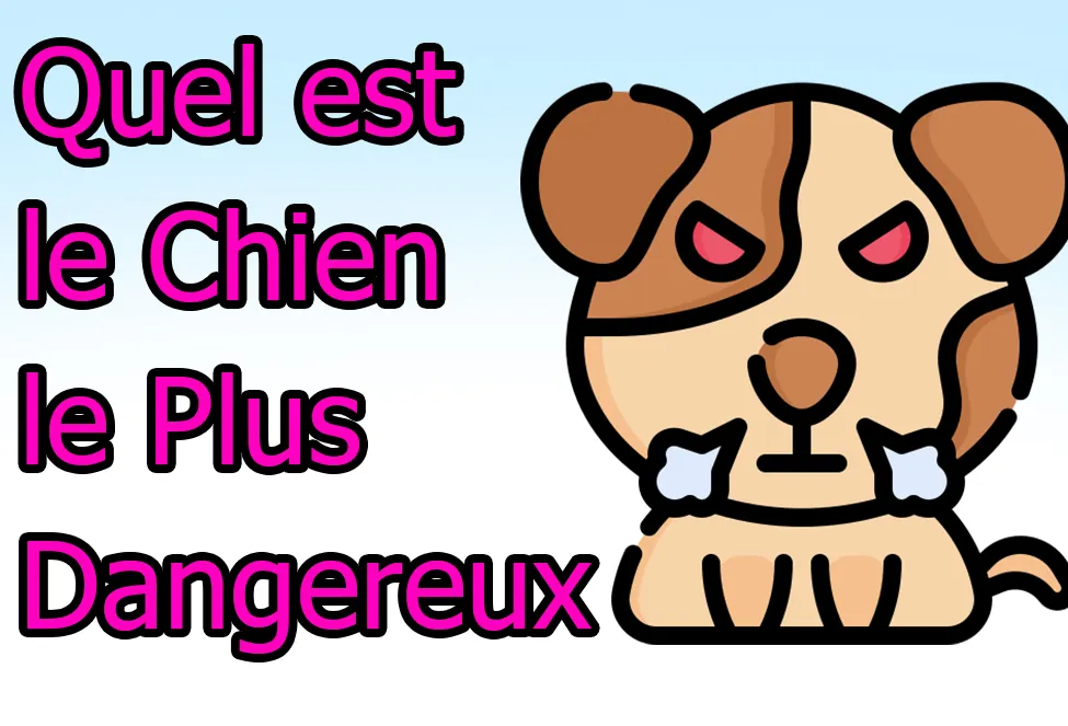 Quel est le Chien le Plus Dangereux du Monde ? La Réponse Selon la Science deangereux chien