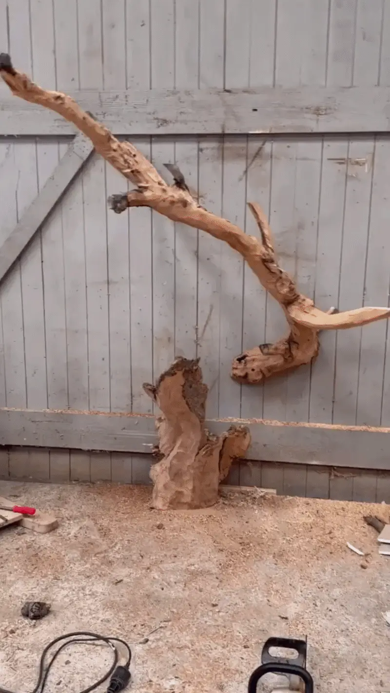 Fabriquer un Arbre à Chat en Bois Naturel : Guide Complet DIY un arbre à chat en bois naturel fabriqué maison