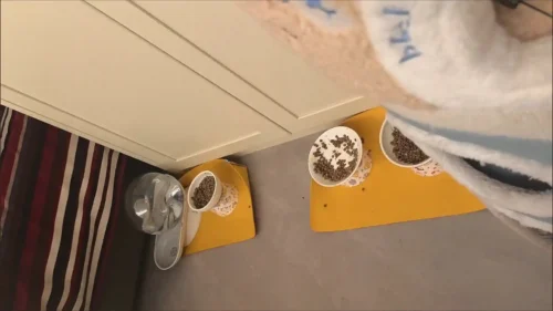 Click to view full screen Tapis Gamelle pour Chien en Silicone - Protection Sol Antidérapante photo review