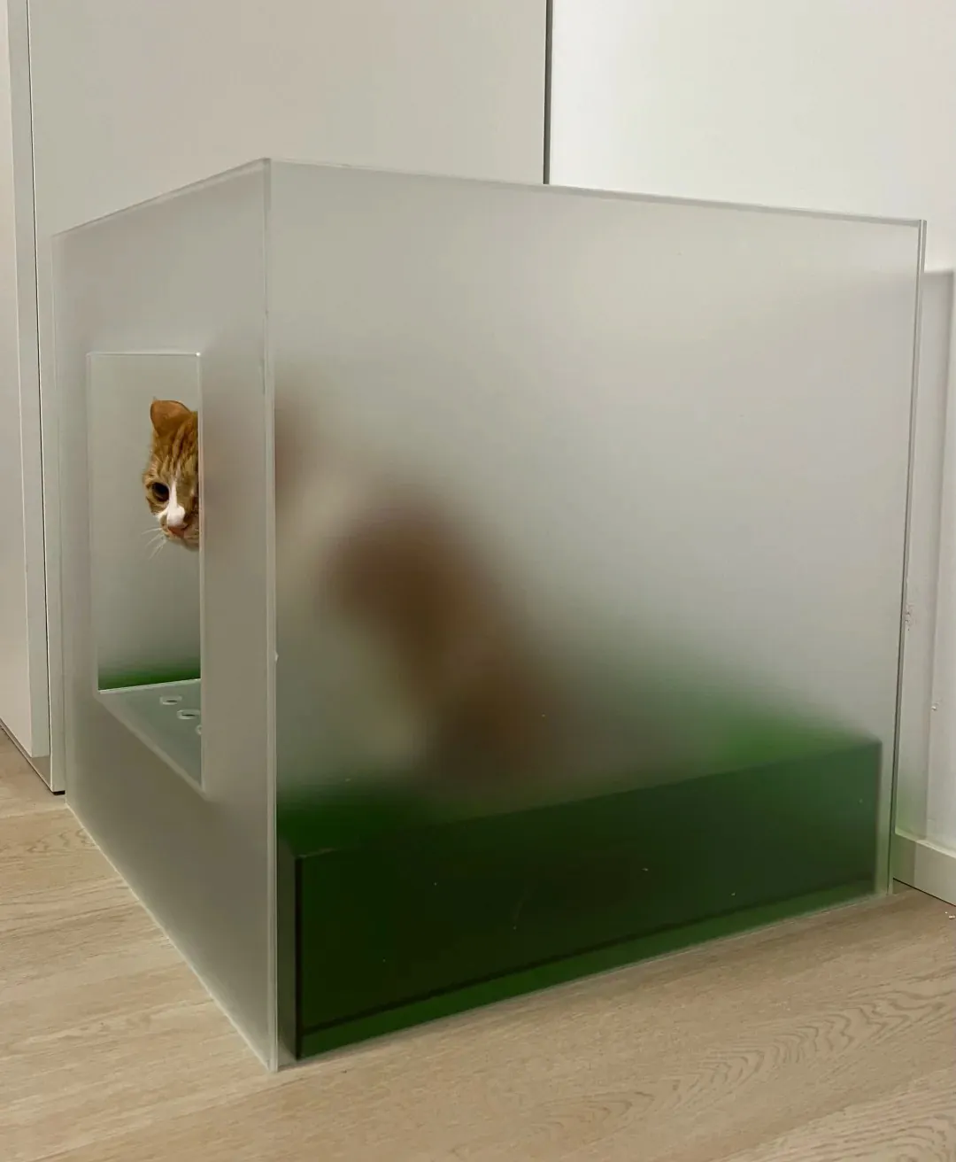 Intérieur du bac à litière DIY avec socle en acrylique vert foncé et bac métallique