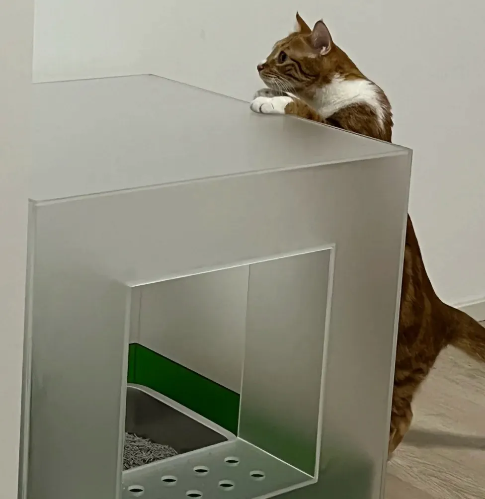 Structure d'entrée du bac à litière en acrylique avec marchepied — pièces f, g, h, i