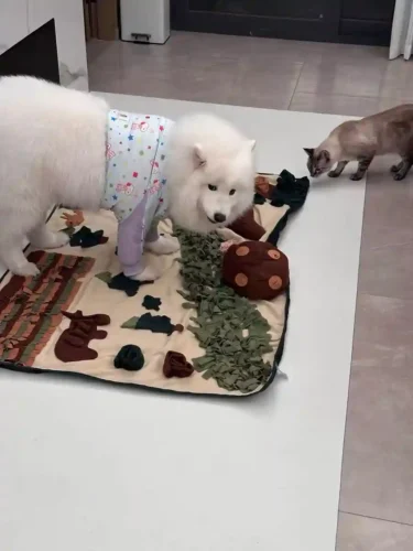 Click to view full screen Tapis de Fouille Chien XXL Grande Forêt photo review