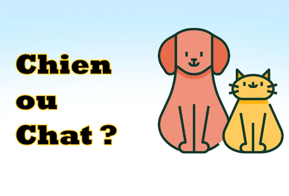 Chien ou Chat : Quel Compagnon Choisir? chien ou chat?