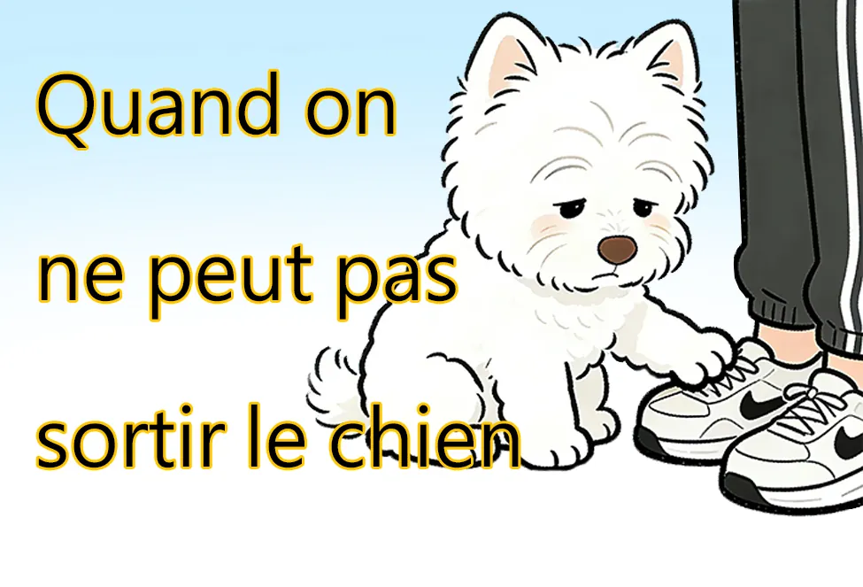 Que faire si on ne peut pas promener son chien ? Que faire si on ne peut pas promener son chien ?