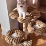 Arbre à Chat en Bois Flotté avec 3 Hamacs photo review