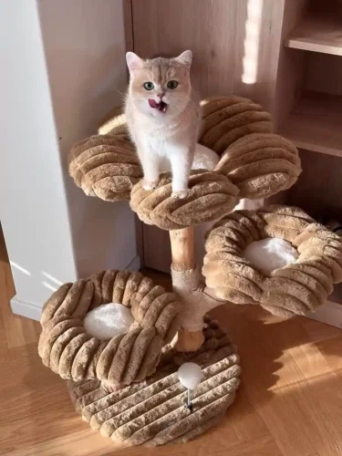 Click to view full screen Arbre à Chat en Bois Flotté avec 3 Hamacs photo review