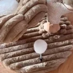 Arbre à Chat en Bois Flotté avec 3 Hamacs photo review