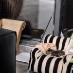 Canapé Pour Chat Housse Amovible Câlin et Cosy photo review