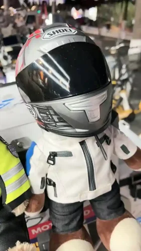 Click to view full screen Casque Moto Chat Stylé Safe-Ride photo review