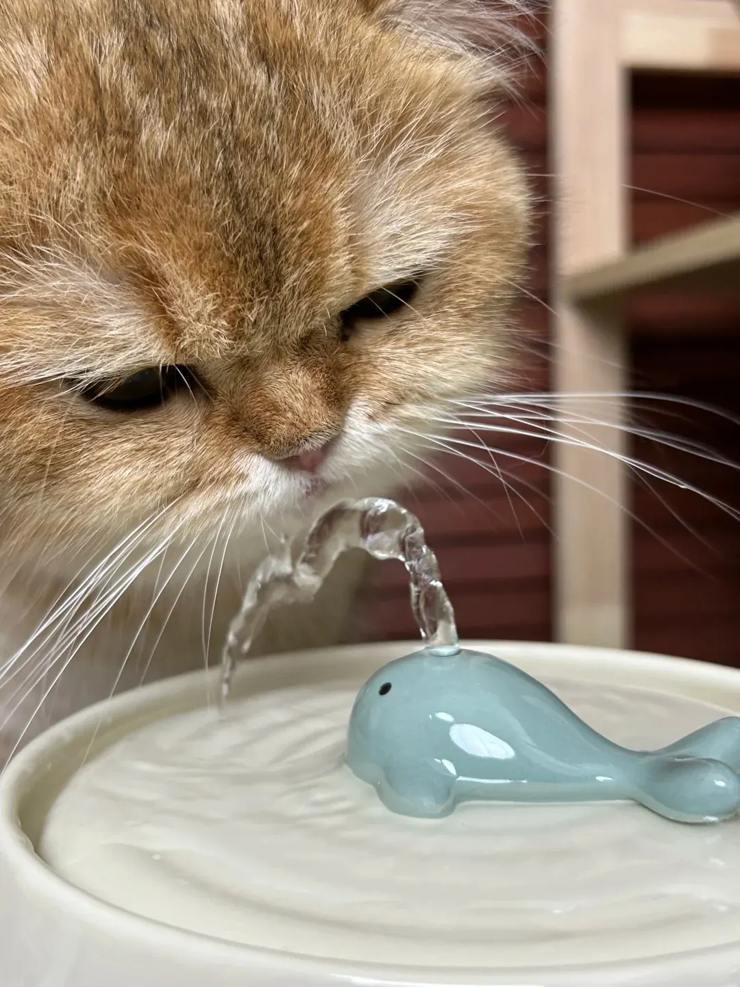 Fontaine à eau pour chat avec flux continu en céramique — le mouvement de l'eau attire naturellement les chats qui dédaignent l'eau stagnante dans un bol