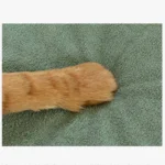 Housse-Canapé-Anti-Griffes-Chat-Velours