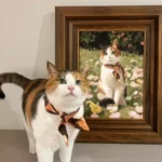 Portrait Dessin Personnalisé pour chat photo review