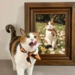 Portrait Dessin Personnalisé pour chat photo review