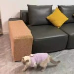 Protège Accoudoir Canapé Anti-Griffes Chat – Sisal – 5 Tailles photo review