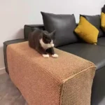 Protège Accoudoir Canapé Anti-Griffes Chat – Sisal – 5 Tailles photo review