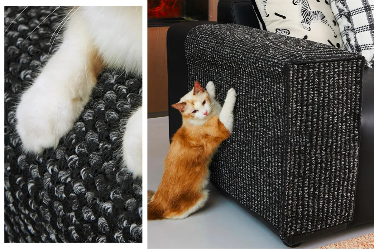 Protège-accoudoir de canapé en sisal naturel noir, installé sur l'accoudoir droit d'un canapé gris avec un chat en train de griffer dessus