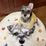 Tapis Chien Personnalisé Rond – Dessin Aquarelle photo review