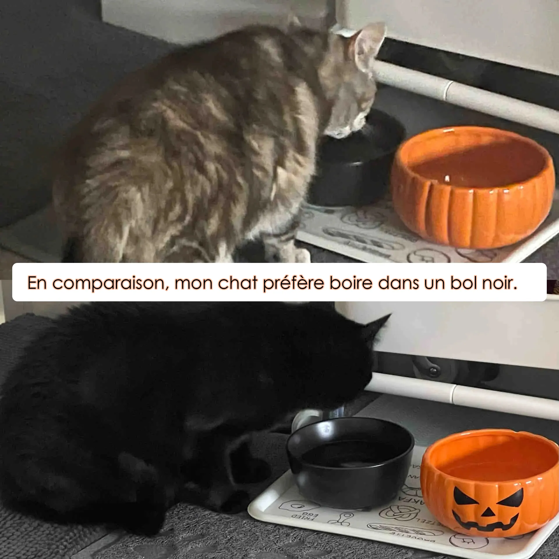 Comparaison gamelle chat couleur foncée versus blanche — la version sombre rend le niveau d'eau plus visible pour le chat