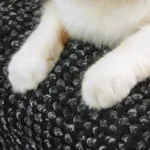 texture-sisal-appreciee-par-les-chats