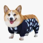 Combinaison-Imperméable-Spéciale-Corgi Combinaison Imperméable Spéciale Corgi