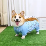 Combinaison-Imperméable-Spéciale-Corgi-bleu Combinaison Imperméable Spéciale Corgi bleu claire