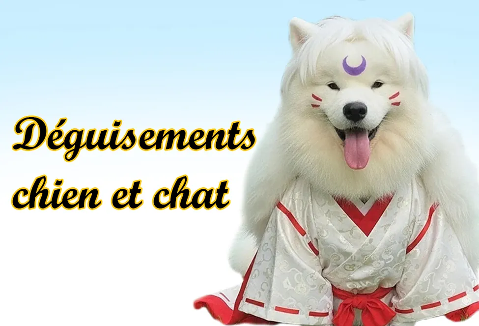 Déguisements chien et chat