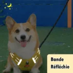 Harnais Spécial Corgi — Anti-Tireur, Poignée de Maintien, H Type Respirant bandes réfléchissantes