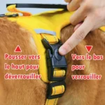 Harnais Spécial Corgi — Anti-Tireur, Poignée de Maintien, H Type Respirant Poignée solide