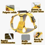 Harnais Spécial Corgi — Anti-Tireur, Poignée de Maintien, H Type Respirant detail