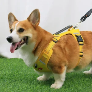 Harnais Spécial Corgi — Anti-Tireur, Poignée de Maintien, H Type Respirant confort pour corgi