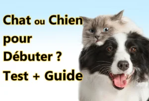 Noms de Chien Commençant par A : Guide Complet Chat ou Chien pour Débuter ? Test + Guide