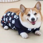 combinaison-impermeable-speciale-corgi-ajustee Combinaison Imperméable Spéciale Corgi