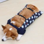 combinaison-impermeable-speciale-corgi-dos Combinaison Imperméable Spéciale Corgi
