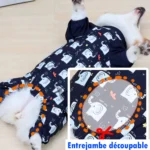 combinaison-impermeable-speciale-corgi-enfilage (2) Combinaison-Imperméable-Spéciale-Corgi