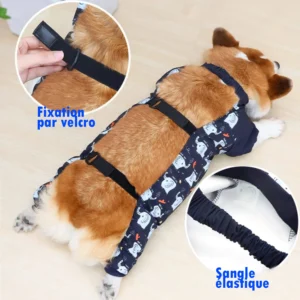 Combinaison imperméable spéciale Corgi bien ajustée et confortable
