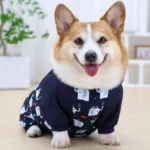 combinaison-impermeable-speciale-corgi-face Combinaison Imperméable Spéciale Corgi