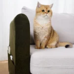 Housse-Accoudoir-Canapé-Anti-Griffures-Chat-chic Housse Accoudoir Canape Anti Griffures Chat 3 Poches chic vert