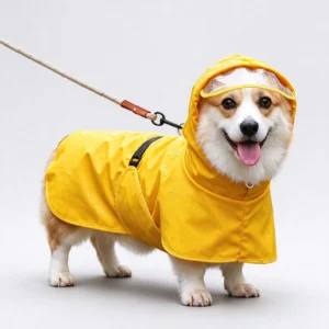 Imperméable pour Corgi – Protection Ventre jaune