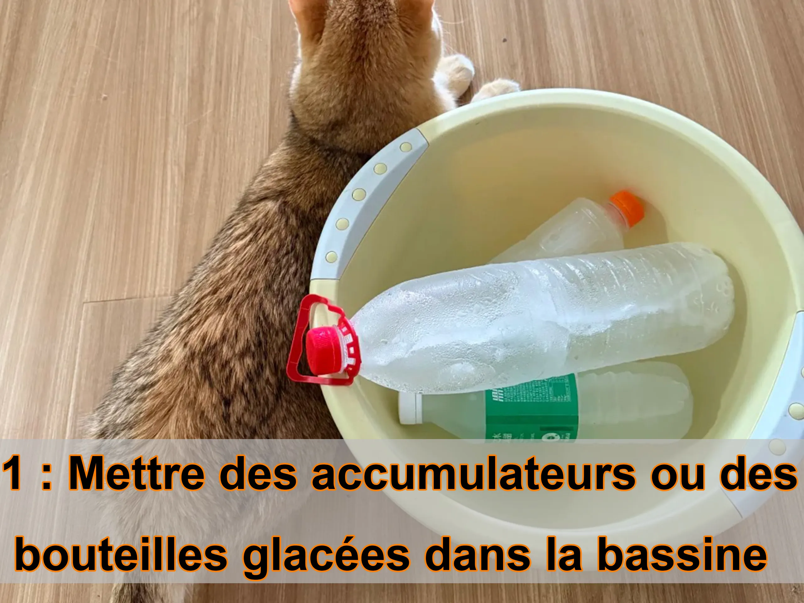 Mettre des accumulateurs ou des bouteilles glacées dans la bassine