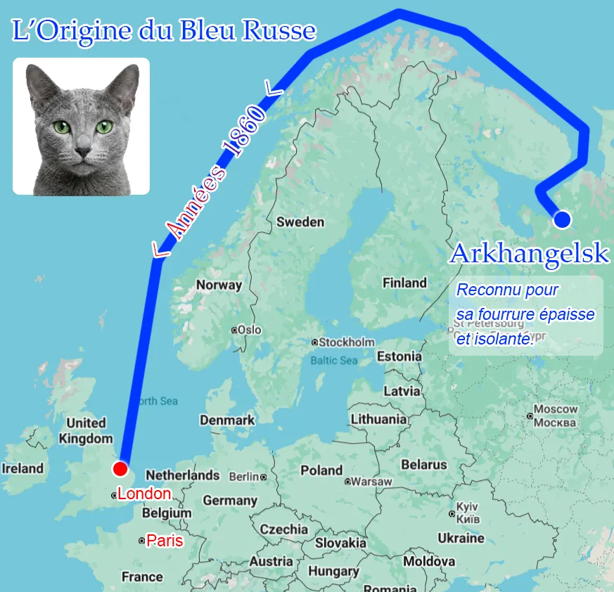 Carte illustrative montrant le trajet du Bleu Russe depuis le port d'Arkhangelsk en Russie vers l'Angleterre et l'Europe au XIXe siècle