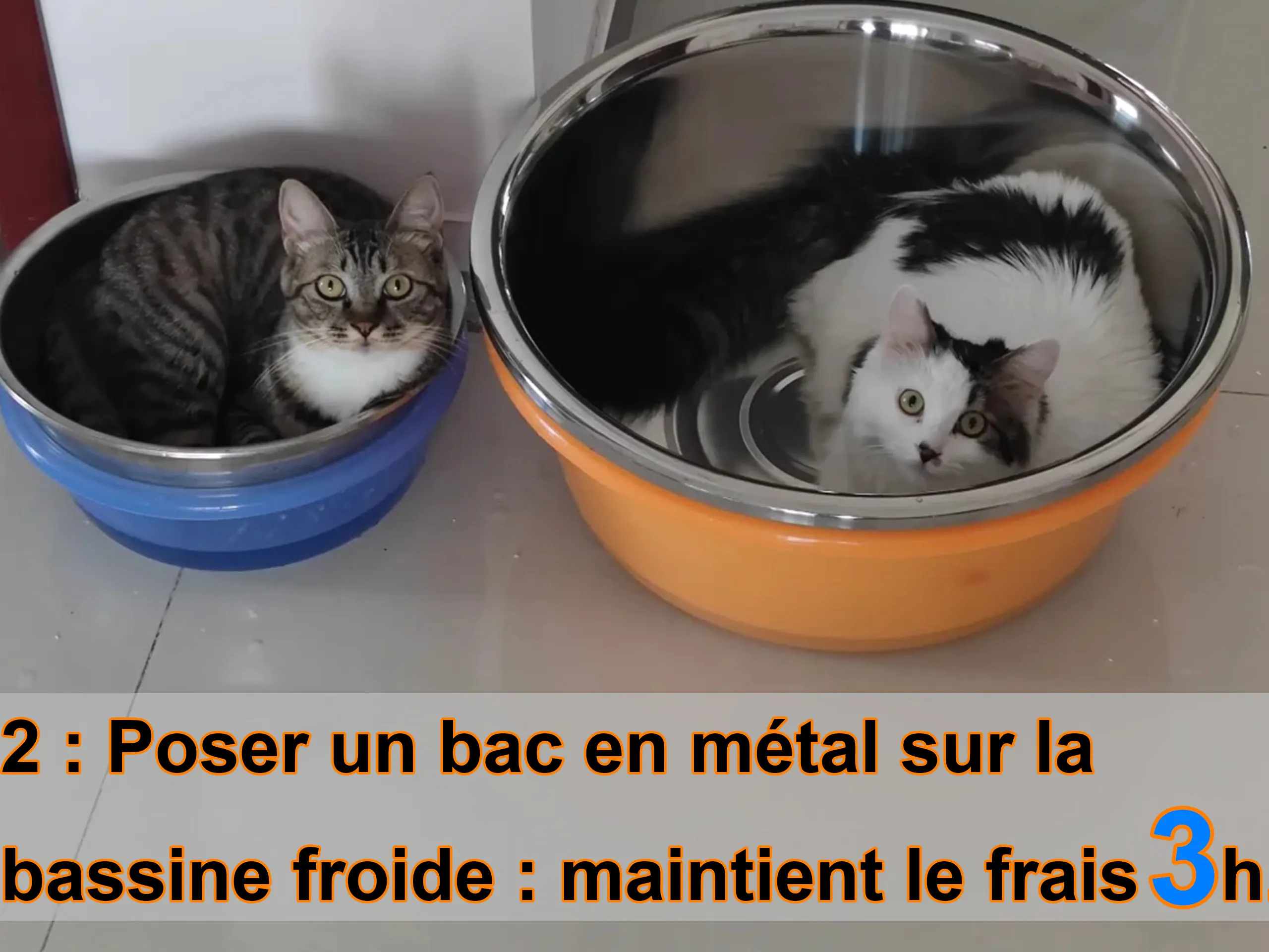 Placer un plateau en métal sur la bassine froide pour maintenir le frais pendant 3h.