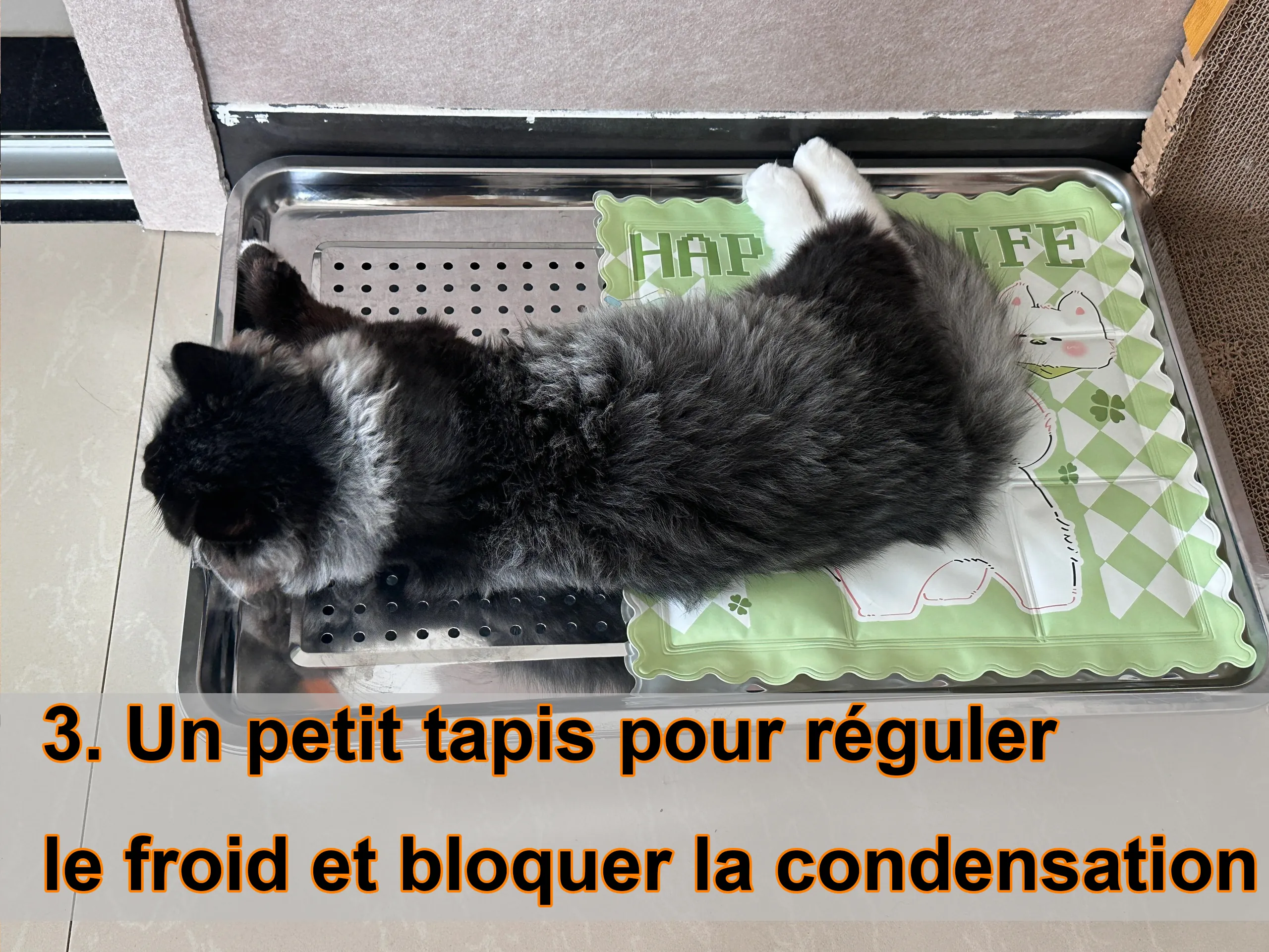 https://animimi.fr/wp-content/uploads/2026/06/Un-petit-tapis-pour-reguler-le-froid-bloquer-la-condensation.webp