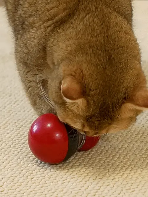 Gamelle ludique pour chat : quel modèle choisir ? Balle distributrice de croquettes pour chat, jouet roulant avec trous réglables
