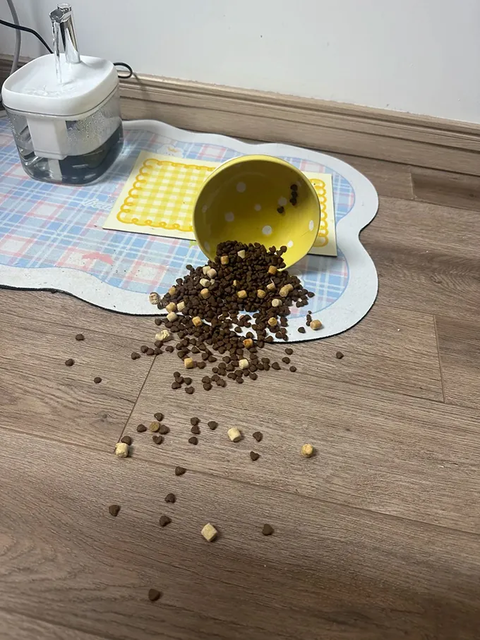 Gamelle ludique pour chat : quel modèle choisir ? Chat qui tente de renverser sa gamelle ludique avec la patte pour accéder à toutes les croquettes