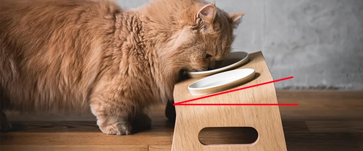 Gamelle ludique pour chat : quel modèle choisir ? Gamelle ludique pour chat senior surélevée et légèrement inclinée, position ergonomique