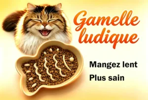 Noms de Chien Commençant par A : Guide Complet gamelle-ludique-chat