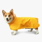 impermeable-corgi-jaune-chien impermeable corgi jaune chien